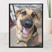 ハッピーバースデーと子犬の羊飼い カード (正面)