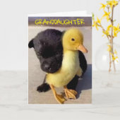 ハッピーバースデーに**孫娘**カード カード (黄色い花)