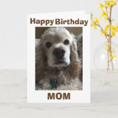 ハッピーバースデーのお母さんがこのかわいいコックスパニエル犬 カード (黄色い花)