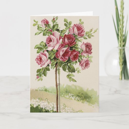 ハッピーバースデーのばら色の木 カード (正面)