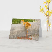 ハッピーバースデーのひな鳥 カード (黄色い花)