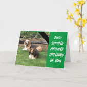 ハッピーバースデーのまわりにを持って横たわること カード (黄色い花)