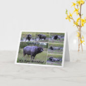 ハッピーバースデーのアフリカスイギュウの泥ぶろ カード (黄色い花)