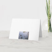 ハッピーバースデーのアメリカオシ カード (裏面)