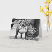 ハッピーバースデーのアメリカ（犬）スタッフォードテリアカード カード (黄色い花)
