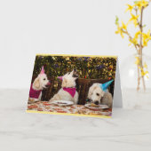 ハッピーバースデーのゴールデン・リトリーバーの写真カード カード (黄色い花)