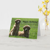 ハッピーバースデーのゴールデン・リトリーバーの挨拶状 カード (黄色い花)