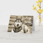 ハッピーバースデーのシベリアンハスキーの小犬 カード (黄色い花)