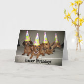 ハッピーバースデーのダックスフント カード (黄色い花)