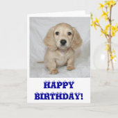 ハッピーバースデーのダックスフント カード (黄色い花)