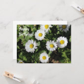 ハッピーバースデーのデイジーの写真撮影 カード (正面/裏面インサイチュ)