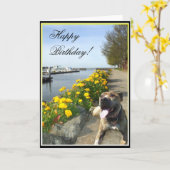 ハッピーバースデーのピットブルの挨拶状 カード (黄色い花)