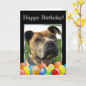 ハッピーバースデーのピットブルの挨拶状 カード (黄色い花)