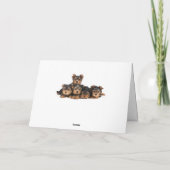 ハッピーバースデーのヨークシャテリアの小犬の青 カード (裏面)