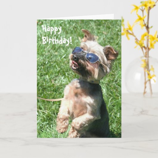 ハッピーバースデーのヨークシャテリアの挨拶状 カード (黄色い花)