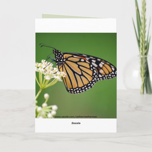 ハッピーバースデーのヴァネサのマダラチョウ カード (裏面)