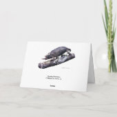 ハッピーバースデーの挨拶状(緑で) カード (裏面)