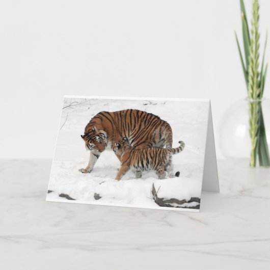 ハッピーバースデーの父の美しいパパのトラ及びカブス カード (正面)