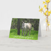 ハッピーバースデーの白いろばの写真 カード (黄色い花)