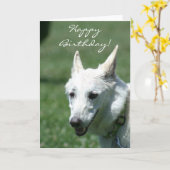 ハッピーバースデーの白いジャーマン・シェパードの挨拶状 カード (黄色い花)