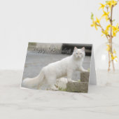 ハッピーバースデーの白い猫 カード (黄色い花)