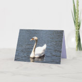 ハッピーバースデーの白の白鳥 カード (裏面)