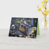 ハッピーバースデーの花の木の雌(鳥)ショウジョウコウカンチョウ カード (黄色い花)