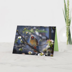 ハッピーバースデーの花の木の雌(鳥)ショウジョウコウカンチョウ カード