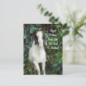 ハッピーバースデーの郵便はがき ポストカード (スタンド正面)