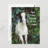 ハッピーバースデーの郵便はがき ポストカード (正面/裏面)