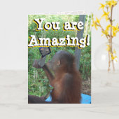 ハッピーバースデーの野生物 カード (黄色い花)