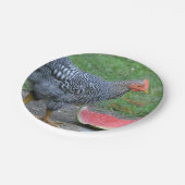 ハッピーバースデーの鶏はスイカを愛します ペーパープレート (アングル)