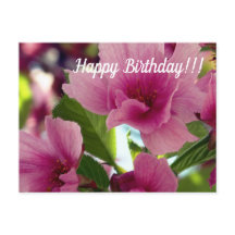 ハッピーバースデーはがき