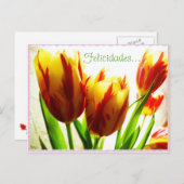 ハッピーバースデーはがき ポストカード (正面/裏面)