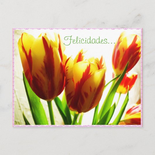 ハッピーバースデーはがき ポストカード (正面)