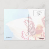 ハッピーバースデーはがき ポストカード (裏面)