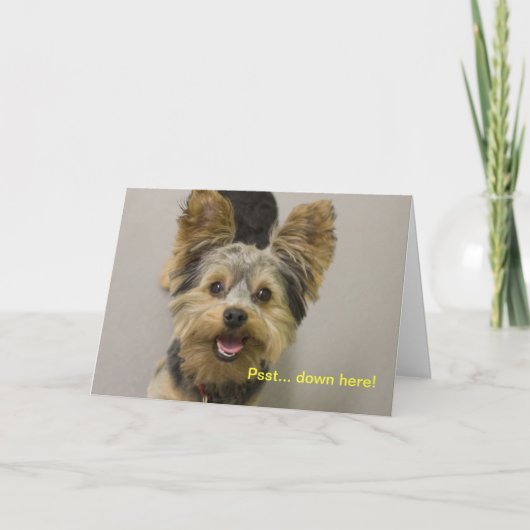 ハッピーバースデーは小さい方から。 カード (正面)