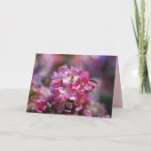 ハッピーバースデーりんご花ハニービー カード (裏面)