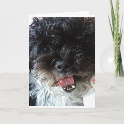 ハッピーバースデーをマイ***ツお気に入りのイン*** カード (正面)