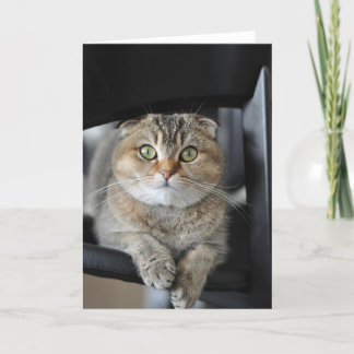 ハッピーバースデーを望みます カード