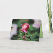 ハッピーバースデーアプリコット&ラベンダーバラハネビー カード (裏面)