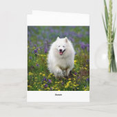 ハッピーバースデーアメリカンエスキモグリーティングカード カード (裏面)