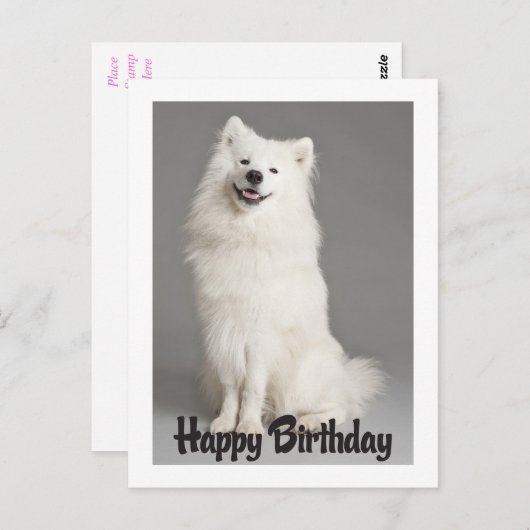 ハッピーバースデーアメリカンエスキモパピードッグハガキ ポストカード (正面/裏面)