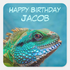 ハッピーバースデーイグアナ スクエアシール