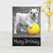 ハッピーバースデーイングリッシュブルドッグパピードッグ カード (黄色い花)