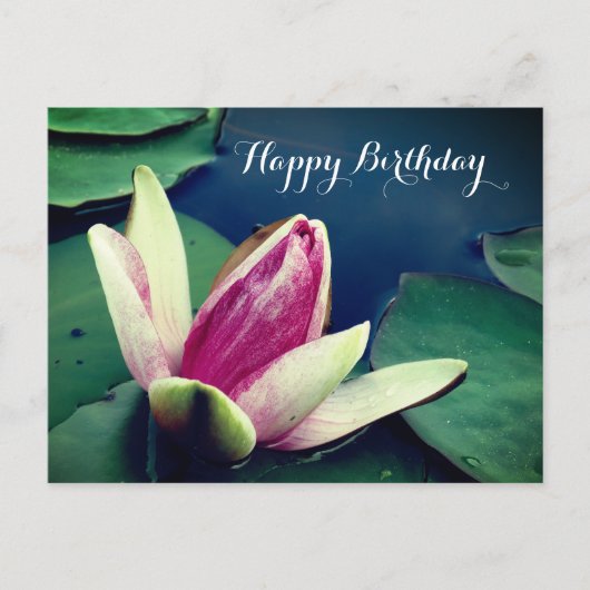 ハッピーバースデーウォーターリリー ポスカード ポストカード (正面)