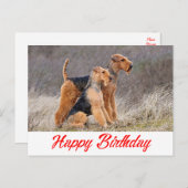 ハッピーバースデーエアデールテリアパピードッグレッド ポストカード (正面/裏面)