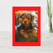 ハッピーバースデーエアデールテリアワンピードッグカード カード (正面)