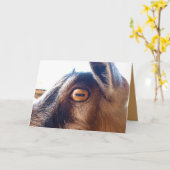 ハッピーバースデーオールドヤギ挨拶カード カード (黄色い花)