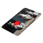 ハッピーバースデーカッタ マグネット (左側)